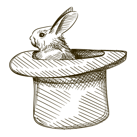 rabbit-hat-reversed